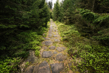 Naklejka premium Römische Straße in den Vogesen. Entstehung Ende des 1. Jh. vor Christus. Wahrscheinlich Verbindung vom Donon nach Metz.