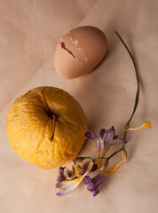still life with yellow apple, eggshell and purple flower on parchment 