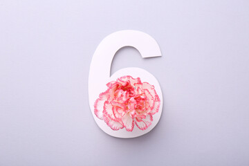 Paper number 6 and beautiful flower on light grey background, top view