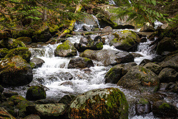 waterfall in the forest