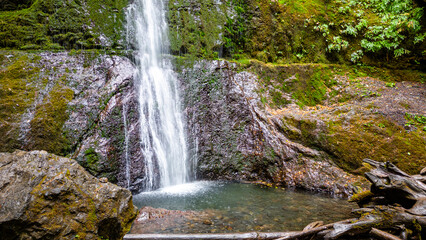 Obraz premium waterfall in the forest