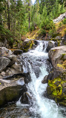 Obraz premium waterfall in the forest