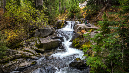 waterfall in the forest