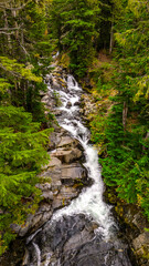 Fototapeta premium Drone Aerial of Washington State Park 