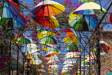 Colorful Ballons hanging over street