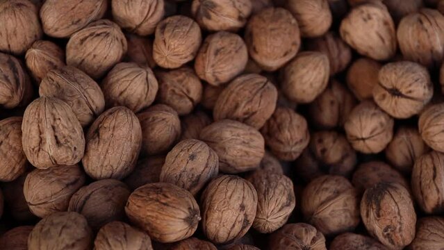 Nuts in shell top view. Fresh harvest walnuts slow motion