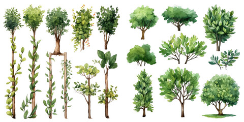 Watercolor set of tree ornament set. Hand drawn isolated on transparent background.	