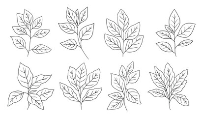 Set of branch and leaves vector
