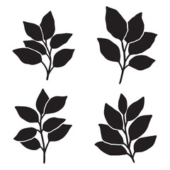 Set of branch and leaves vector	
