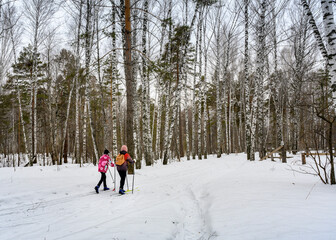Mother and daughter go skiing in the birch forest in winter