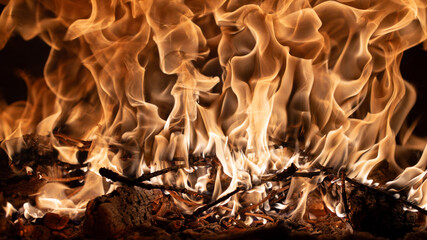 Forno a legna e le sue fiamme