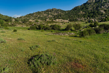 Fototapeta premium mountains, landscape, view, nature, plants, spring, sunny, flora