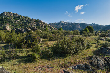 Naklejka premium mountains, landscape, view, nature, plants, spring, sunny, flora
