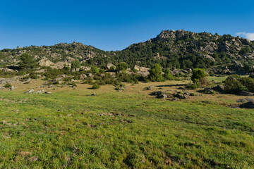 Naklejka premium mountains, landscape, view, nature, plants, spring, sunny, flora
