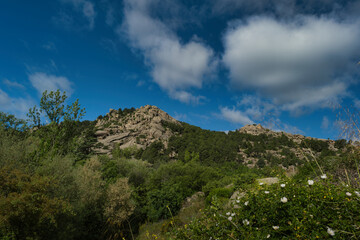 mountains, landscape, view, nature, plants, spring, sunny, flora