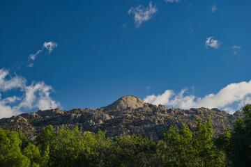 mountains, landscape, view, nature, plants, spring, sunny, flora