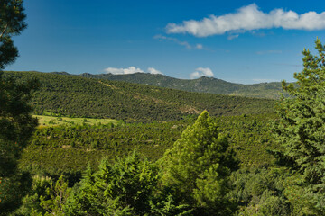 Fototapeta premium mountains, landscape, view, nature, plants, spring, sunny, flora