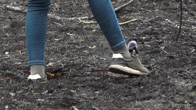 Valka, Latvia - May, 13, 2024 - Person walking through charred forest terrain, stirring ash and dust with boots.