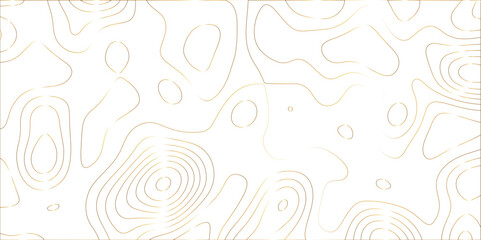 Abstract lines background. Contour maps. Vector illustration. The stylized height of the topographic map contour in lines and contours isolated on transparent. technology topo landscape grid map text.