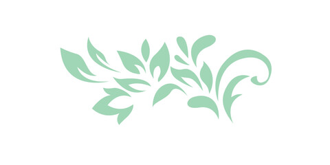 Abstract pattern, decorative element, clip art with stylized leaves, flowers and curls in light green lines on white background. Vintage ornate