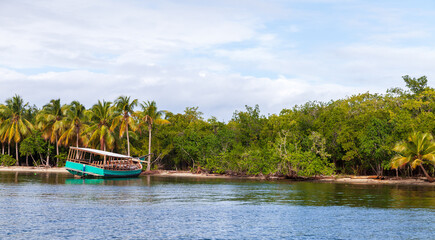 Coastal landscape with palm trees and abandoned ship