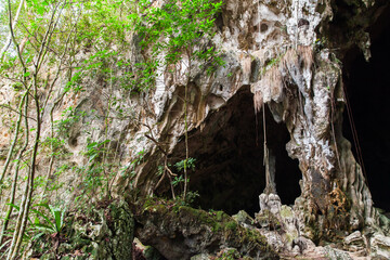 Caves of Samana. Dominican Republic