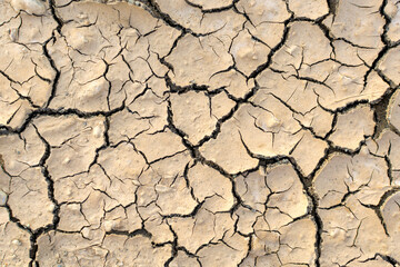 Destroyed dehydrated dry ground surface with cracks, desert parched barren soil close-up, top view. Lifeless environment, drought concept.
