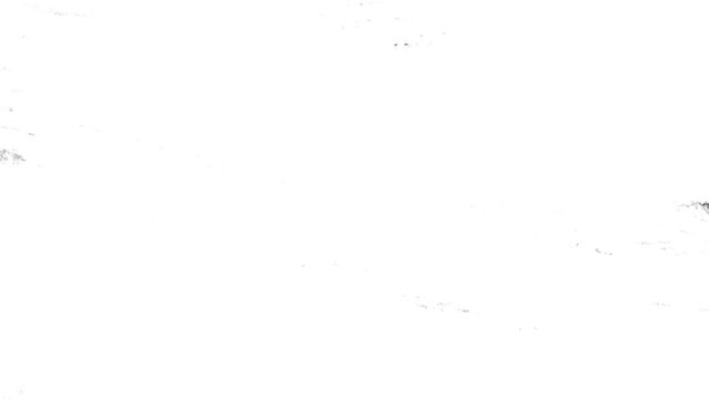 Brush stroke animation for transition 4k footage, grunge brush stroke animation footage, brush animation, paint on wall, paint transition, titles effects