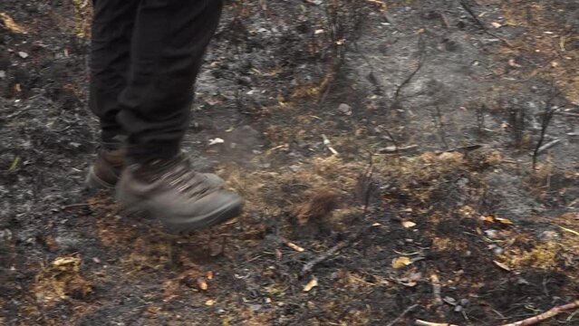 Valka, Latvia - May, 13, 2024 - Person walking through charred forest terrain, stirring ash and dust with boots.