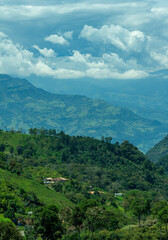 Fototapeta premium Coffee farm in the majestic Andes Mountains around Jerico, Jericó, Antioquia, Colombia. Fields, banana trees. Green landscape, cloudy sky.