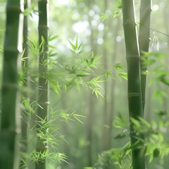 bamboo forest, natural and soft lighting, harmonious atmosphere, white and jade colors