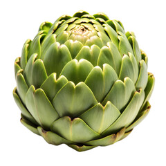 Fototapeta premium Artichoke on Transparent Background