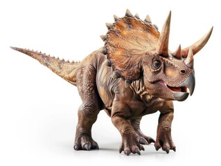 triceratops dinosaur on white background