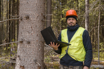 A male ecologist works in the forest with a computer. A forest engineer inspects forest plantations.