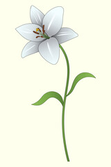 Fototapeta premium White Lily. Opened flower bud on a green stem with leaves. Color vector illustration. Isolated yellow background. Summer plant. 