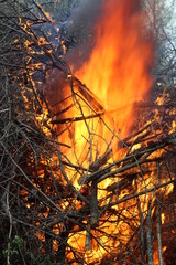  A fire of dry branches burned in a heap.