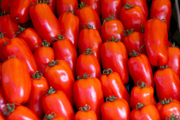 fresh large san marzano tomatoes for sale at a weekly market