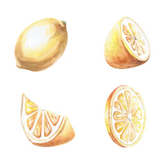 Set of lemon parts in watercolor illustration on a white background. Hand-drawn fruit illustration for cookbooks, lemonades, restaurant menu design, fabric tableware, cards