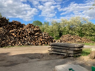 stack of wood on a sawmill