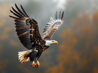 Obraz premium Flying Bald Eagle on American Flag for 4th of July