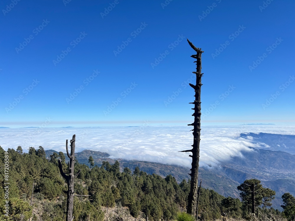 Canvas Prints Aerial view of clouds above mountain peaks