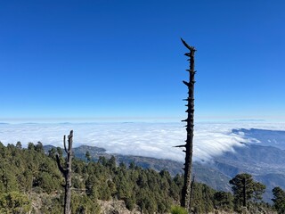Obraz premium Aerial view of clouds above mountain peaks