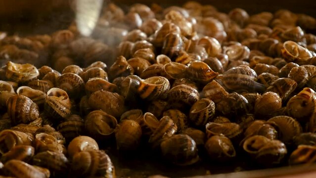 cook a lot of snails in a frying pan. Selective focus.
