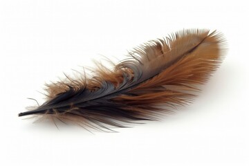 Unique Brown Feather Image
