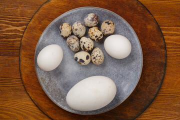 Obraz na płótnie Canvas Chicken goose and quail eggs on a gray plate on a wooden stand comparison