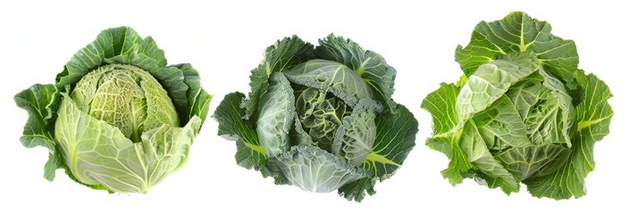 cabbage isolated on white background