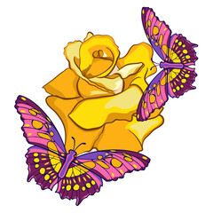 Butterflies on a rose flower vector illustration