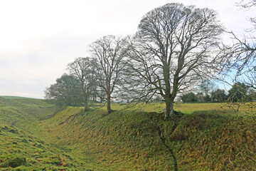 Iron age ditch of Avebury in Wiltshire	
