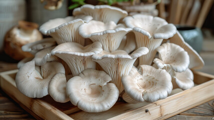 A batch of fresh oyster mushrooms arranged on a wooden tray.