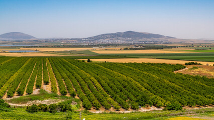 The panoramic view from Tel Megiddo Nation Park of the Jezreel Valley in northern Israel.
